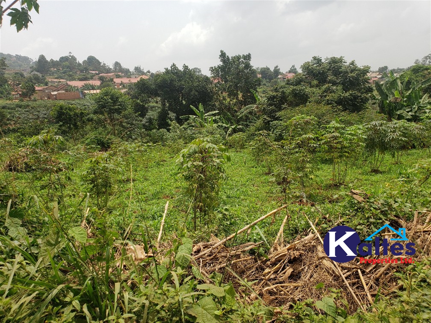 Residential Land for sale in Nakumbo Mukono