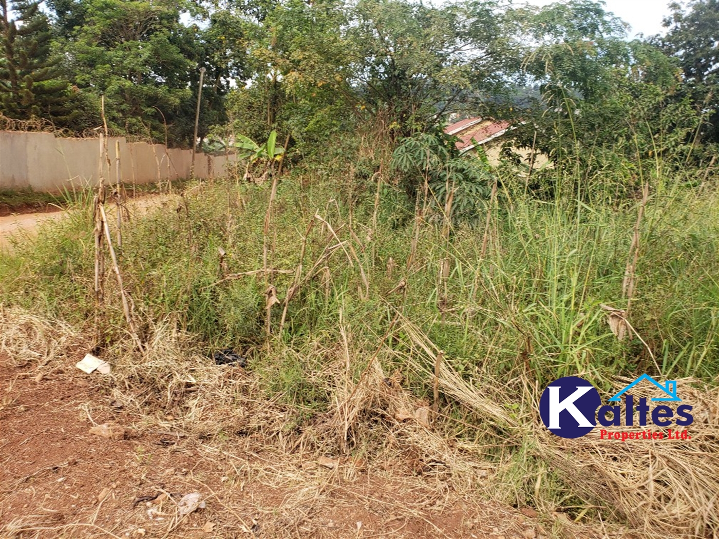 Residential Land for sale in Namasumbi Mukono