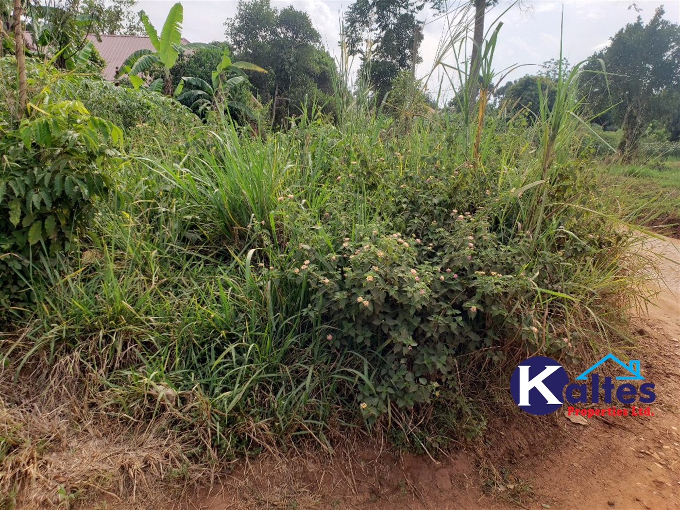 Residential Land for sale in Namasumbi Mukono