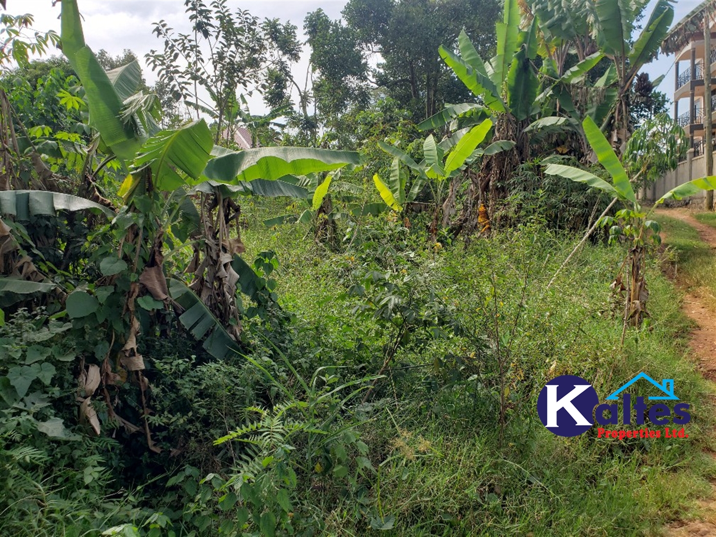 Residential Land for sale in Namasumbi Mukono