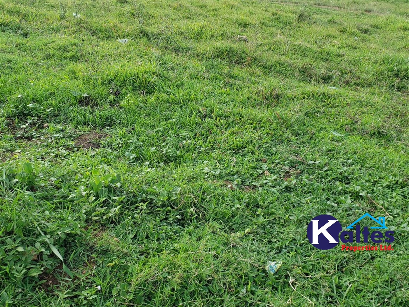 Residential Land for sale in Nateete Mukono