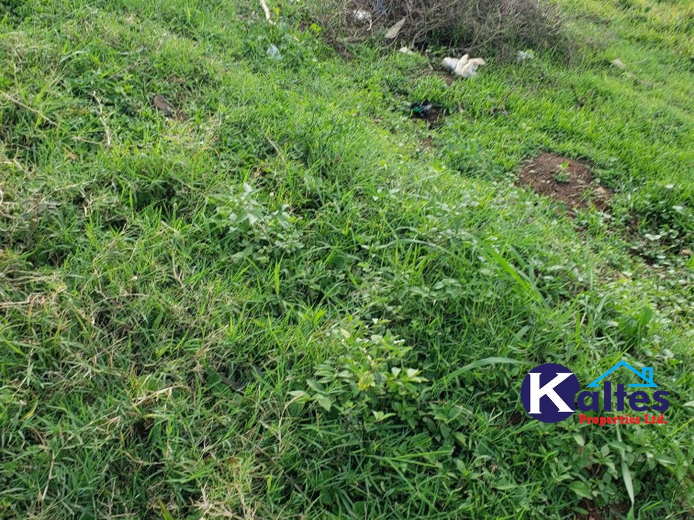 Residential Land for sale in Nateete Mukono