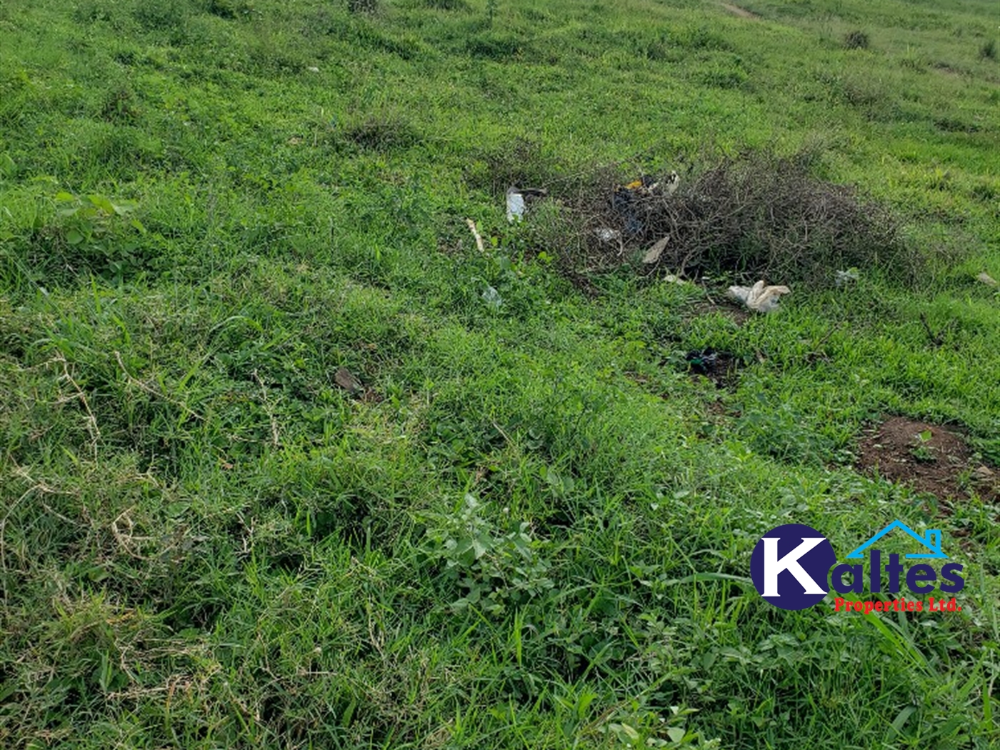 Residential Land for sale in Nateete Mukono