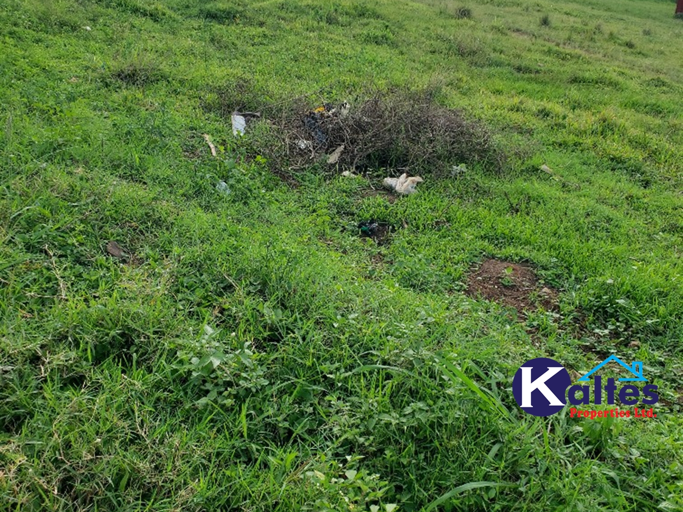 Residential Land for sale in Nateete Mukono