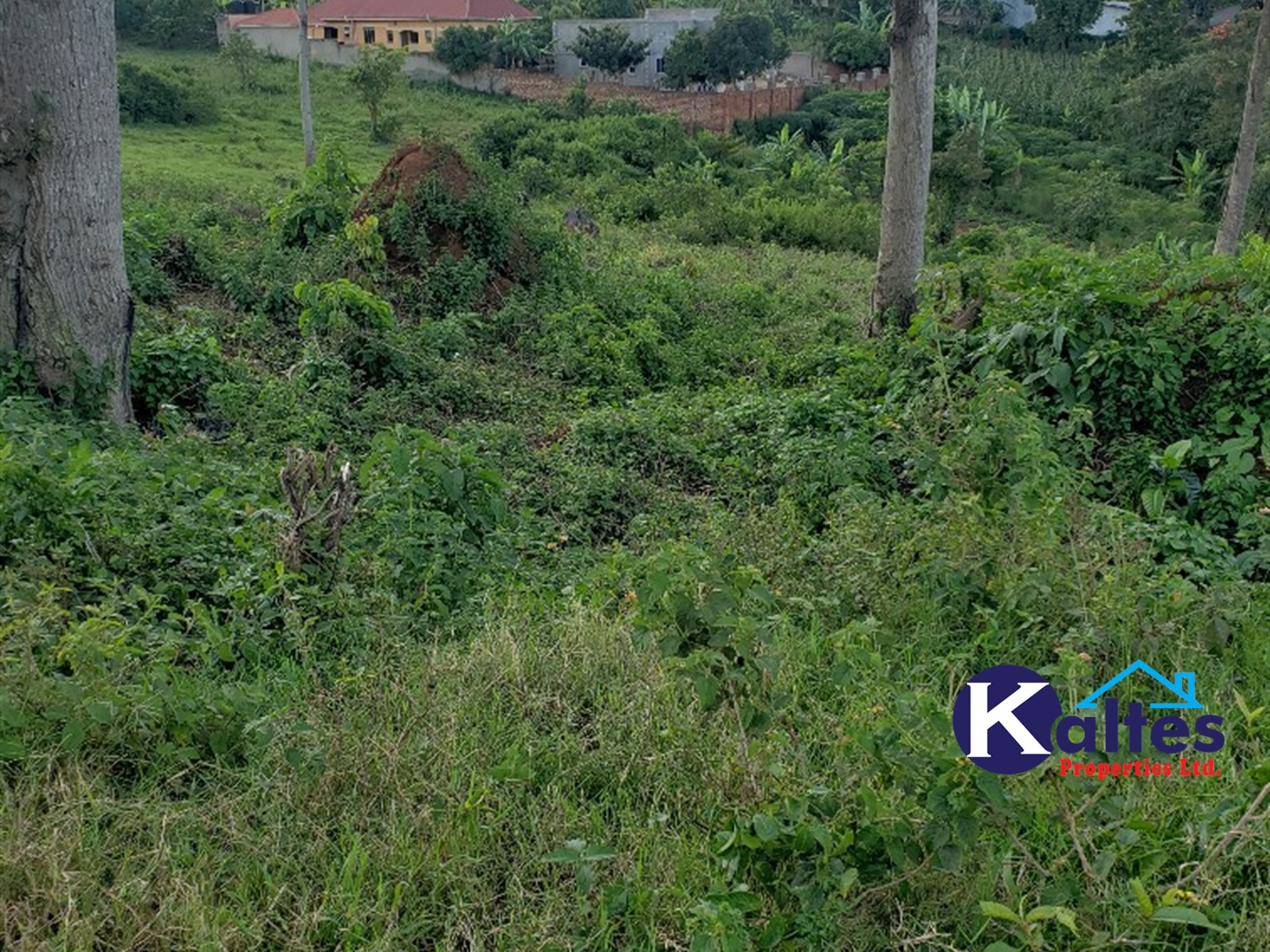 Residential Land for sale in Nateete Mukono