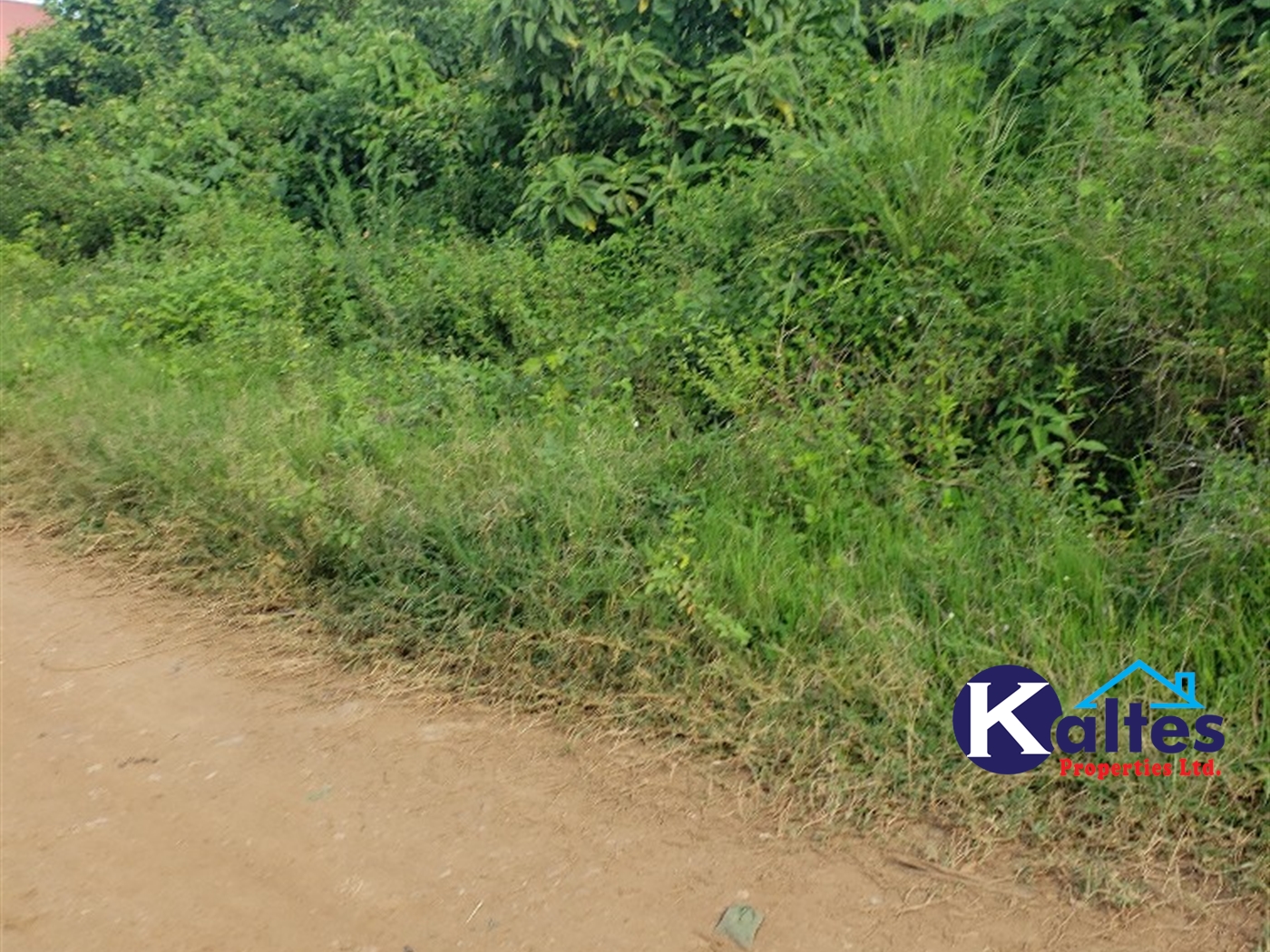 Residential Land for sale in Ntonto Mukono