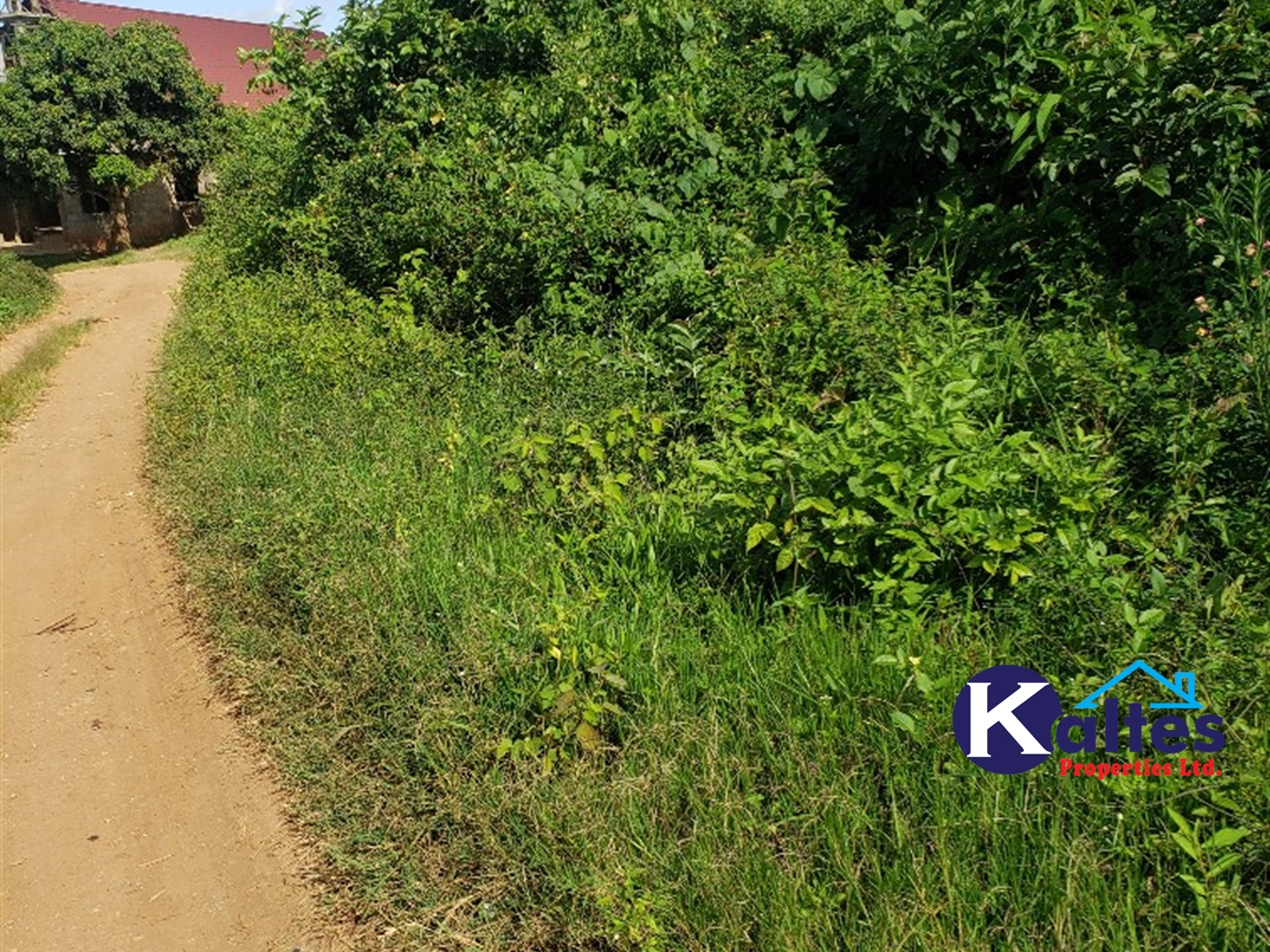 Residential Land for sale in Ntonto Mukono