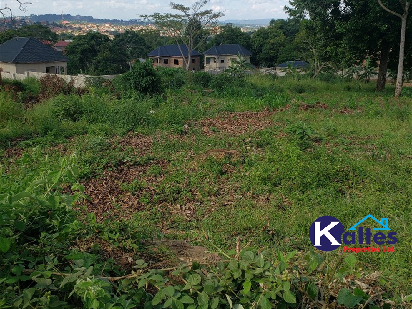 Residential Land for sale in Ntonto Mukono