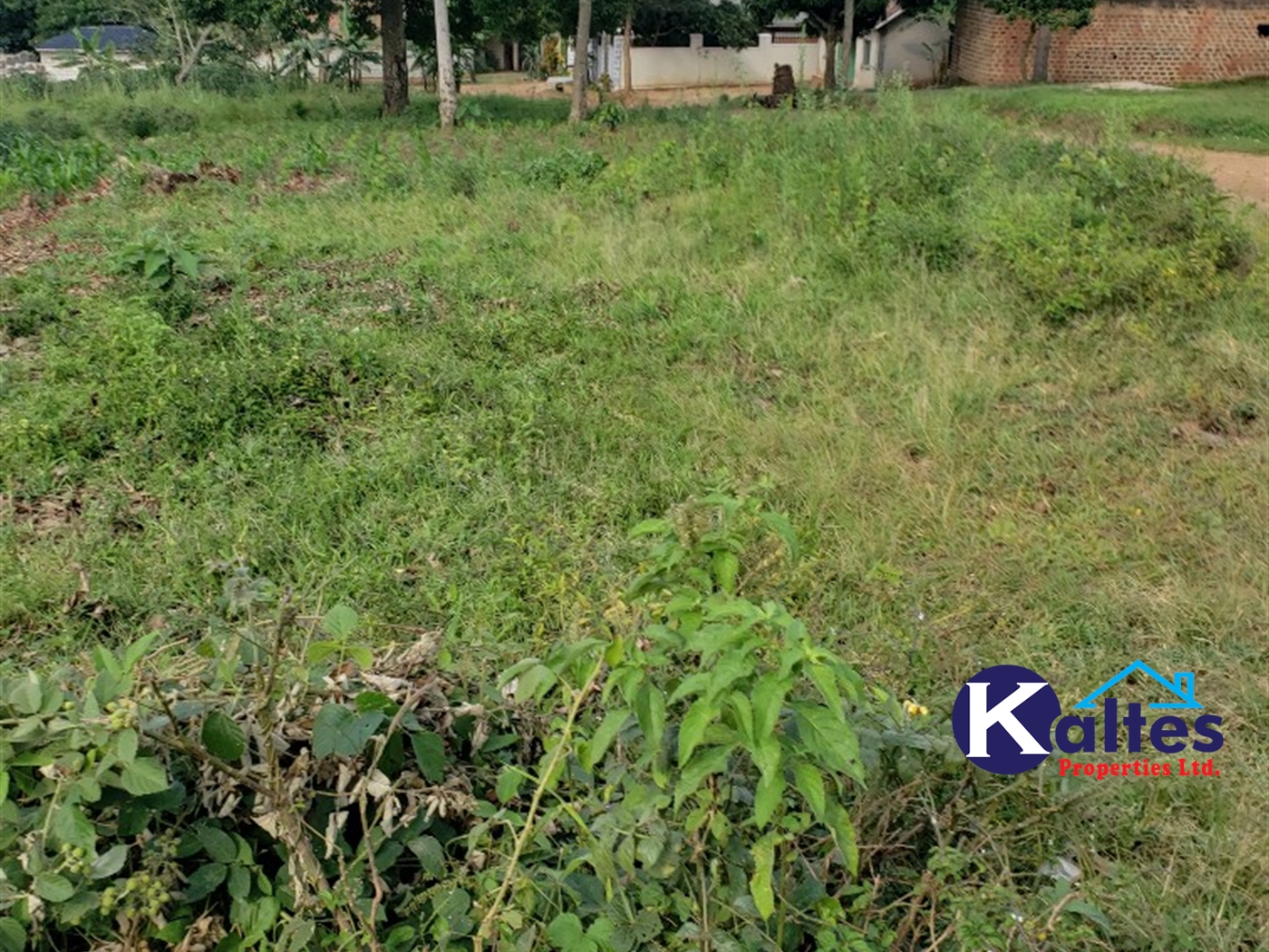 Residential Land for sale in Ntonto Mukono