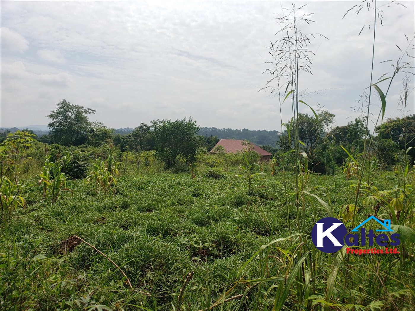 Residential Land for sale in Kalebera Mukono