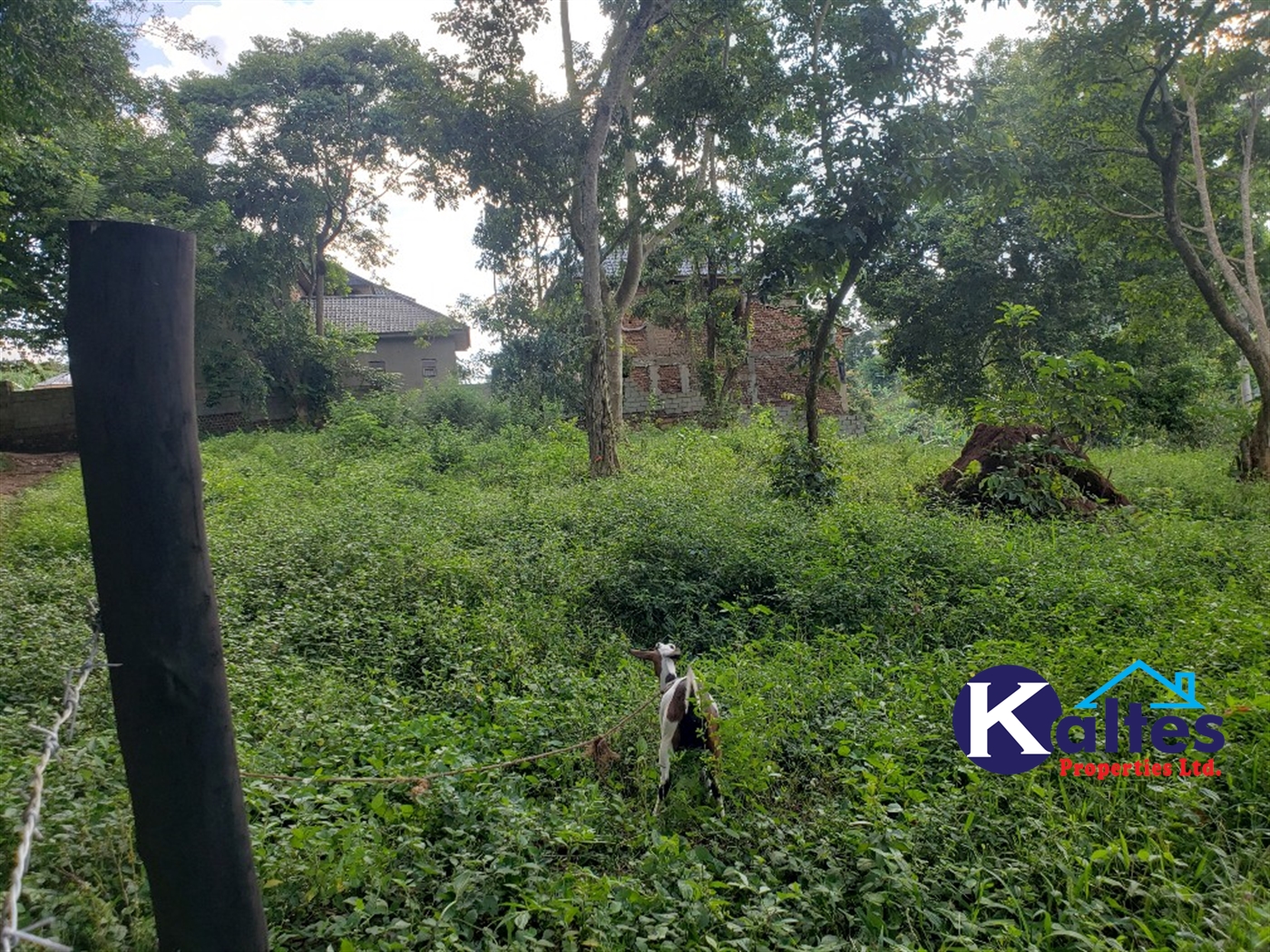 Residential Land for sale in Ntonto Mukono