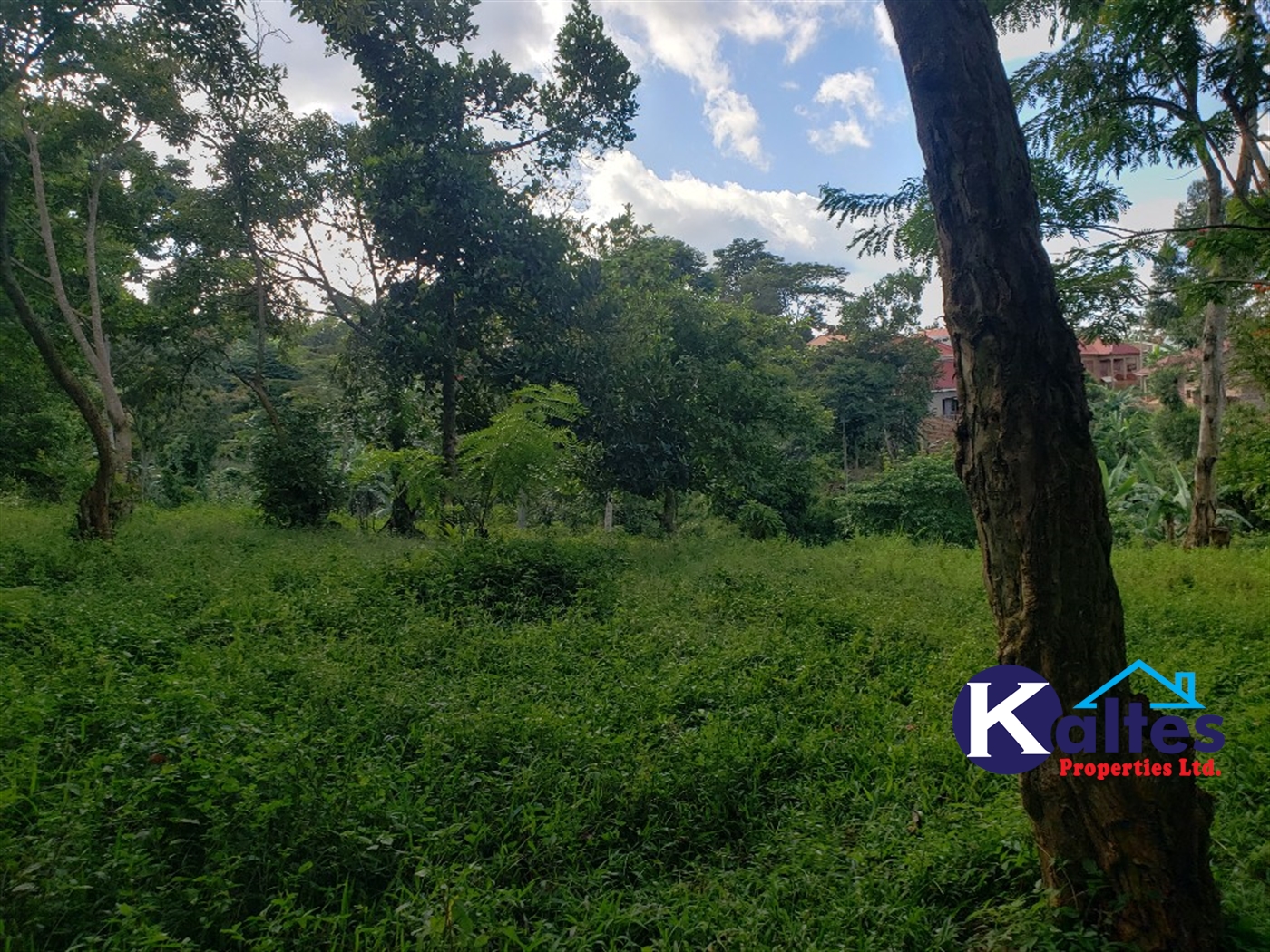 Residential Land for sale in Ntonto Mukono