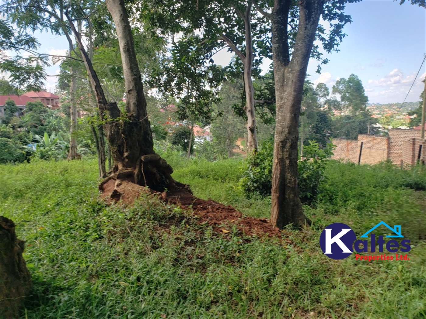 Residential Land for sale in Ntonto Mukono