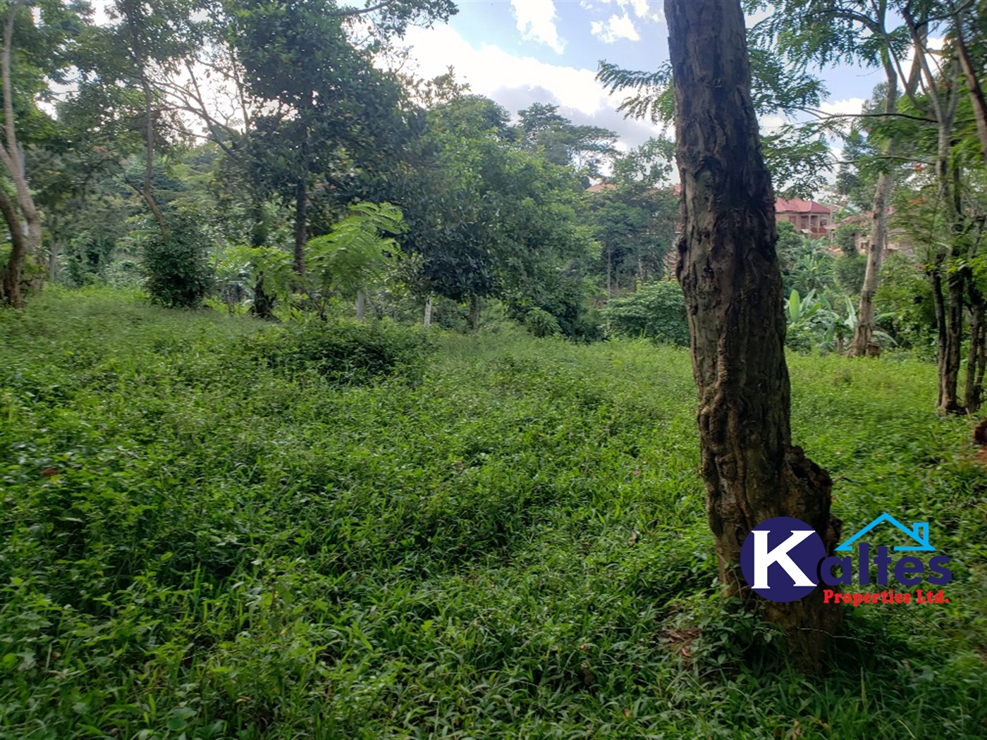 Residential Land for sale in Ntonto Mukono