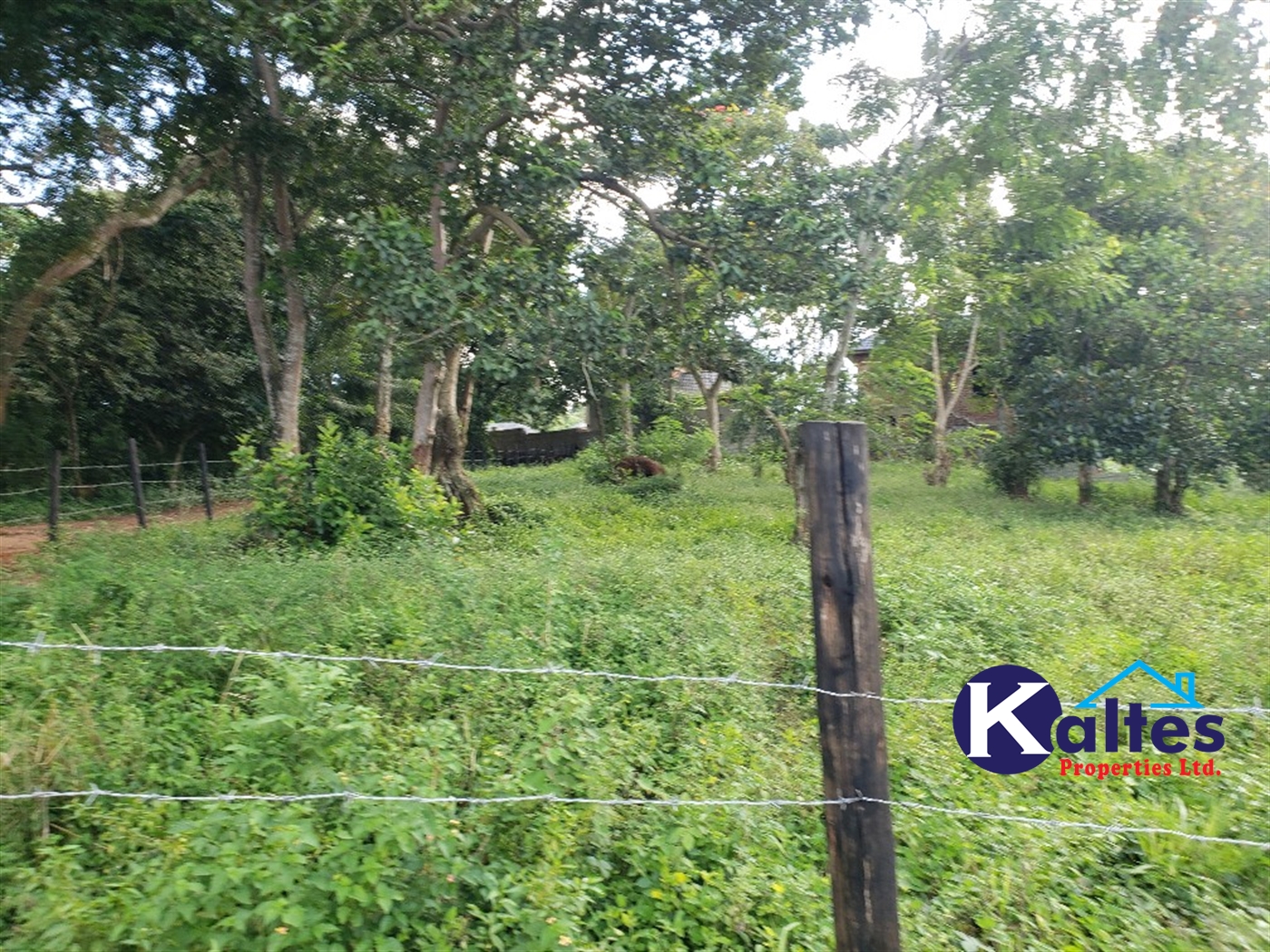 Residential Land for sale in Lusanja Mukono