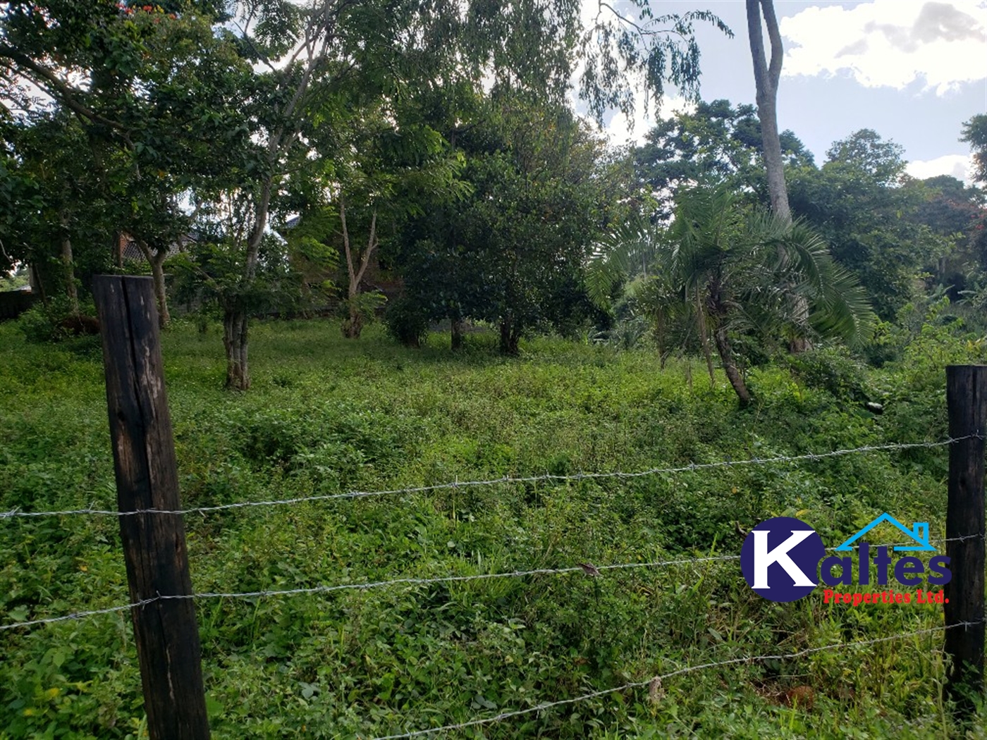 Residential Land for sale in Lusanja Mukono