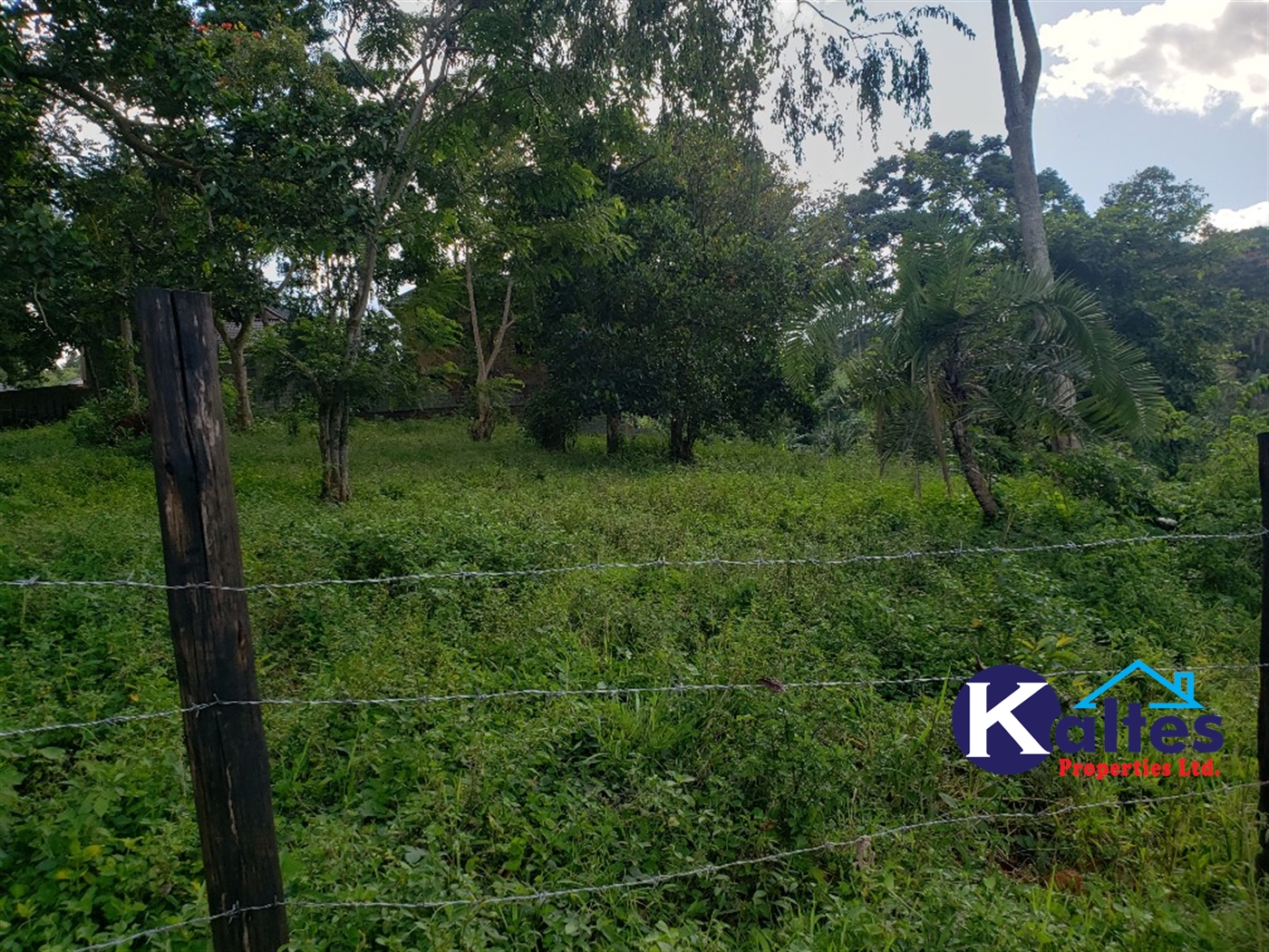 Residential Land for sale in Lusanja Mukono