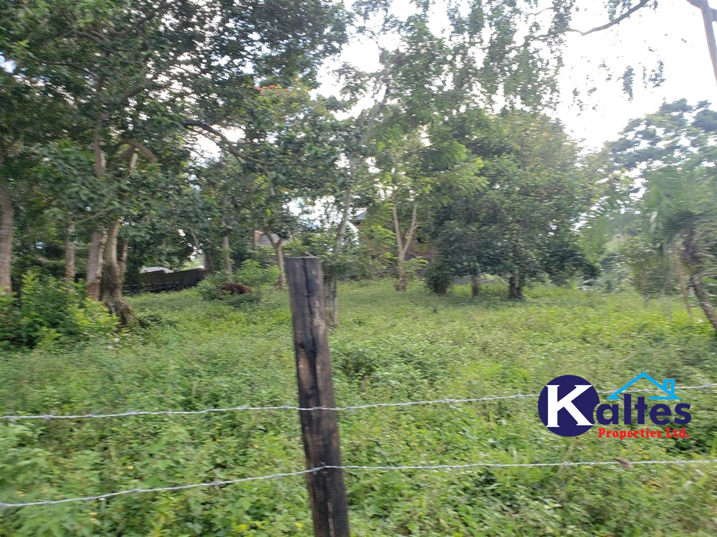 Residential Land for sale in Lusanja Mukono