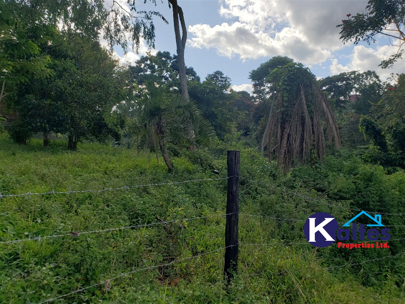 Residential Land for sale in Lusanja Mukono