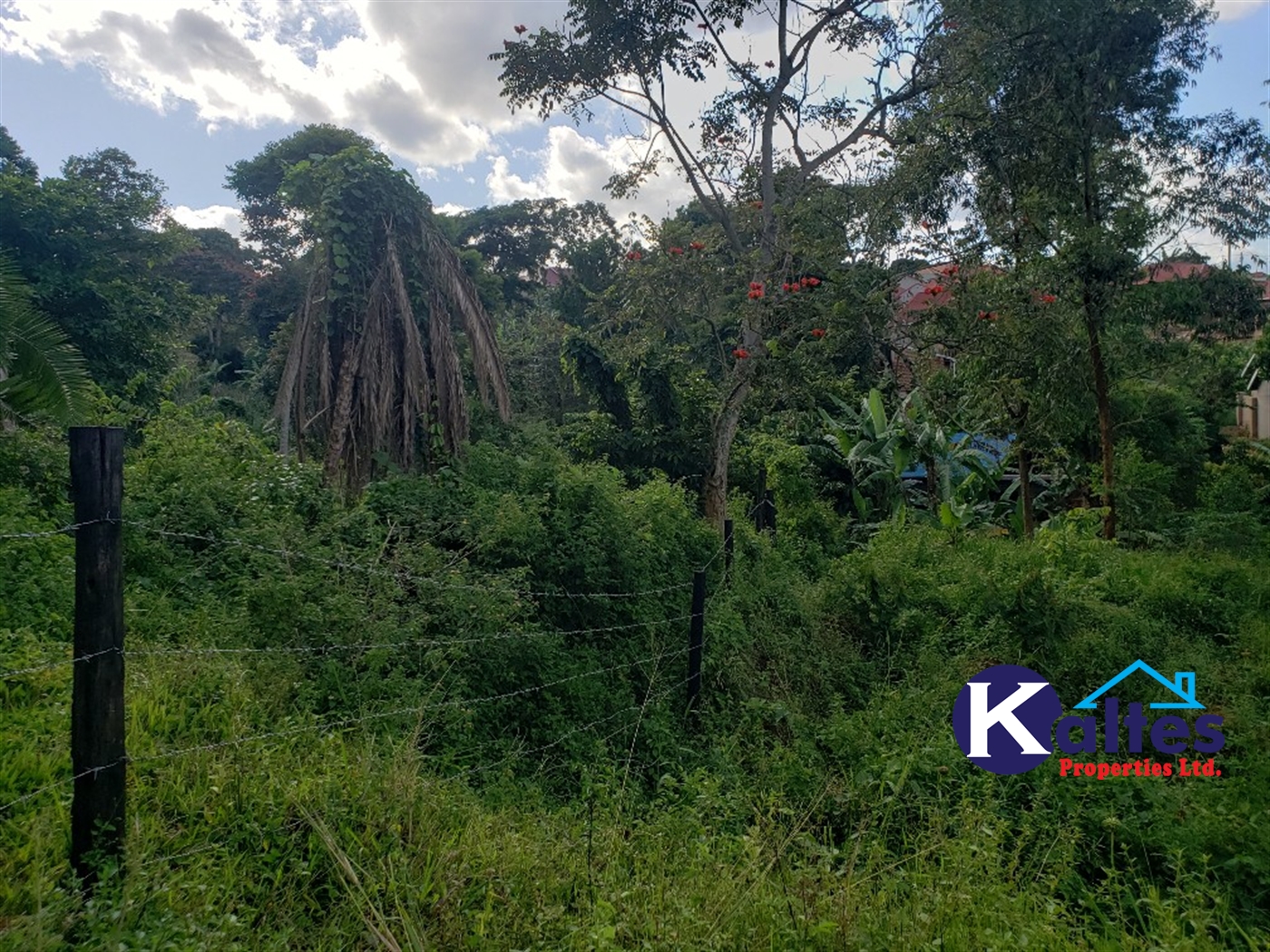 Residential Land for sale in Lusanja Mukono