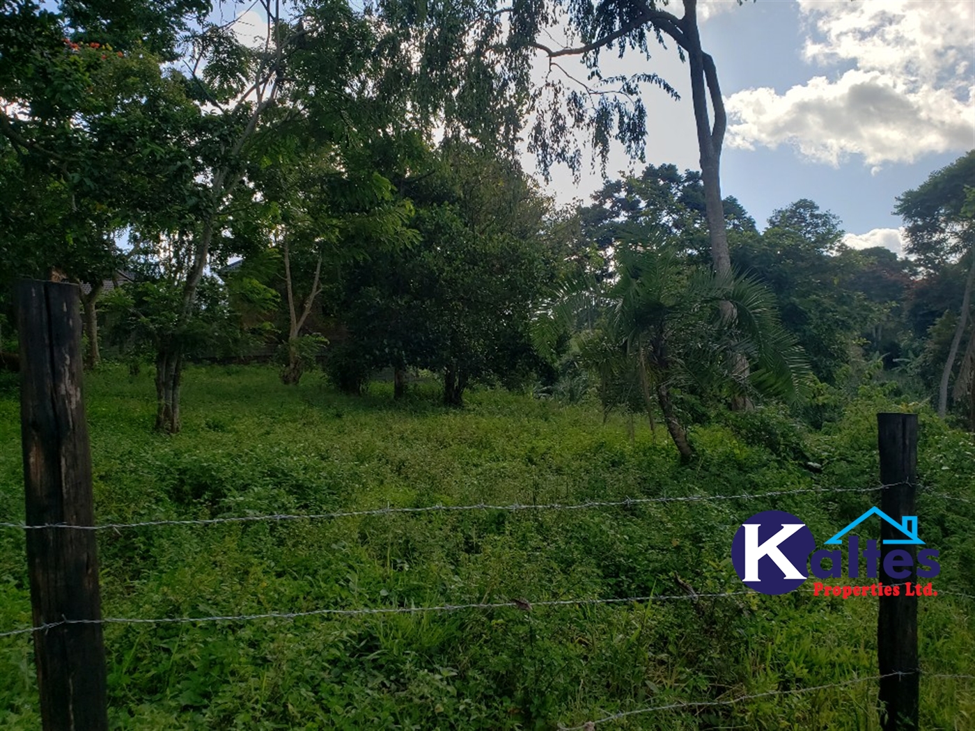 Residential Land for sale in Lusanja Mukono