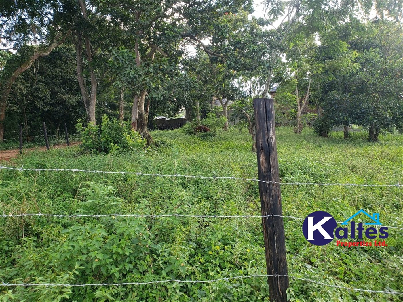 Residential Land for sale in Lusanja Mukono