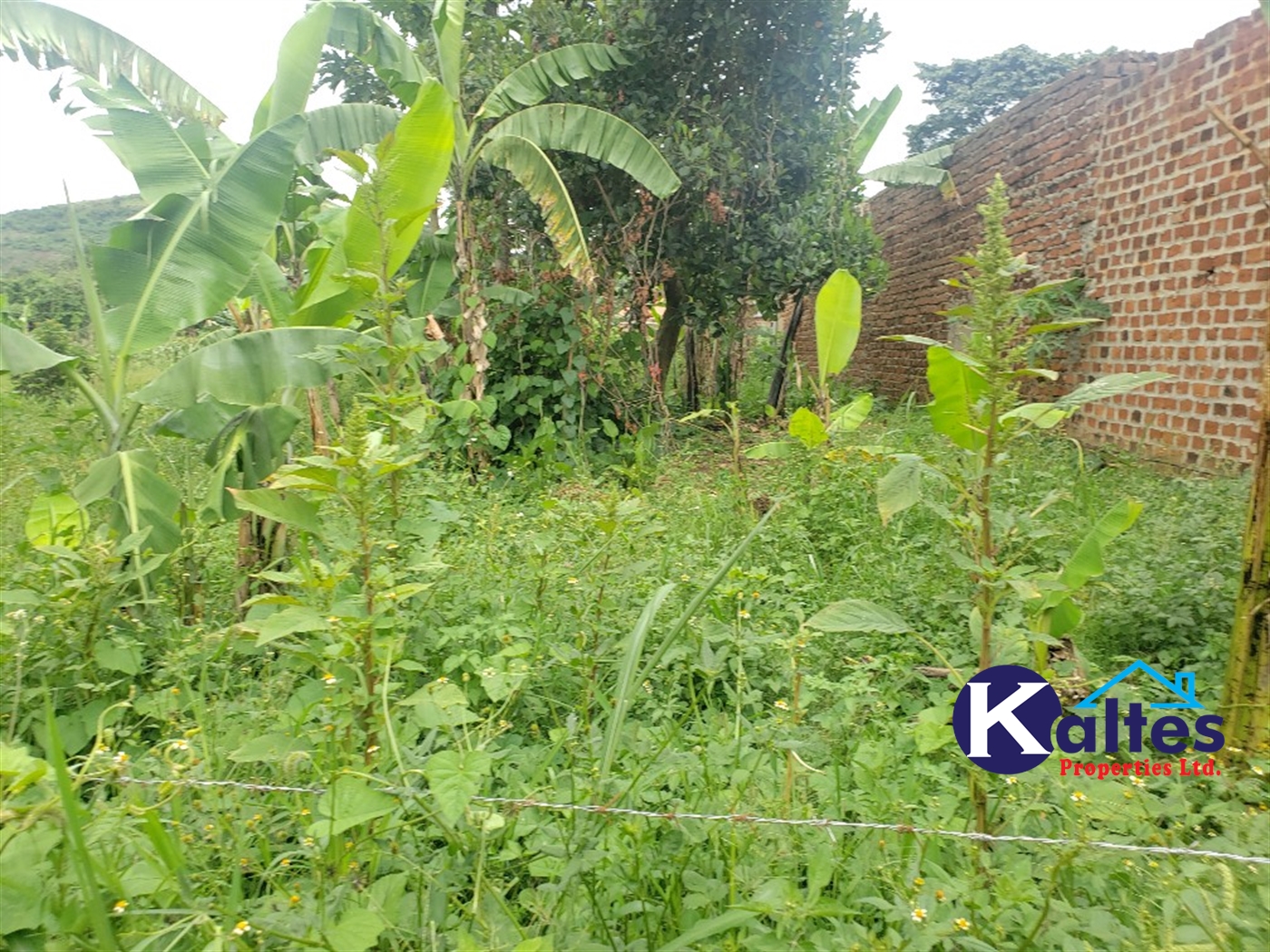 Residential Land for sale in Lusanja Mukono