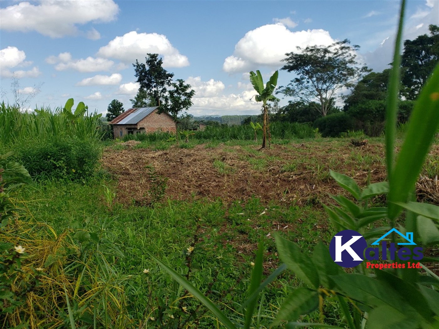 Residential Land for sale in Lusanja Mukono