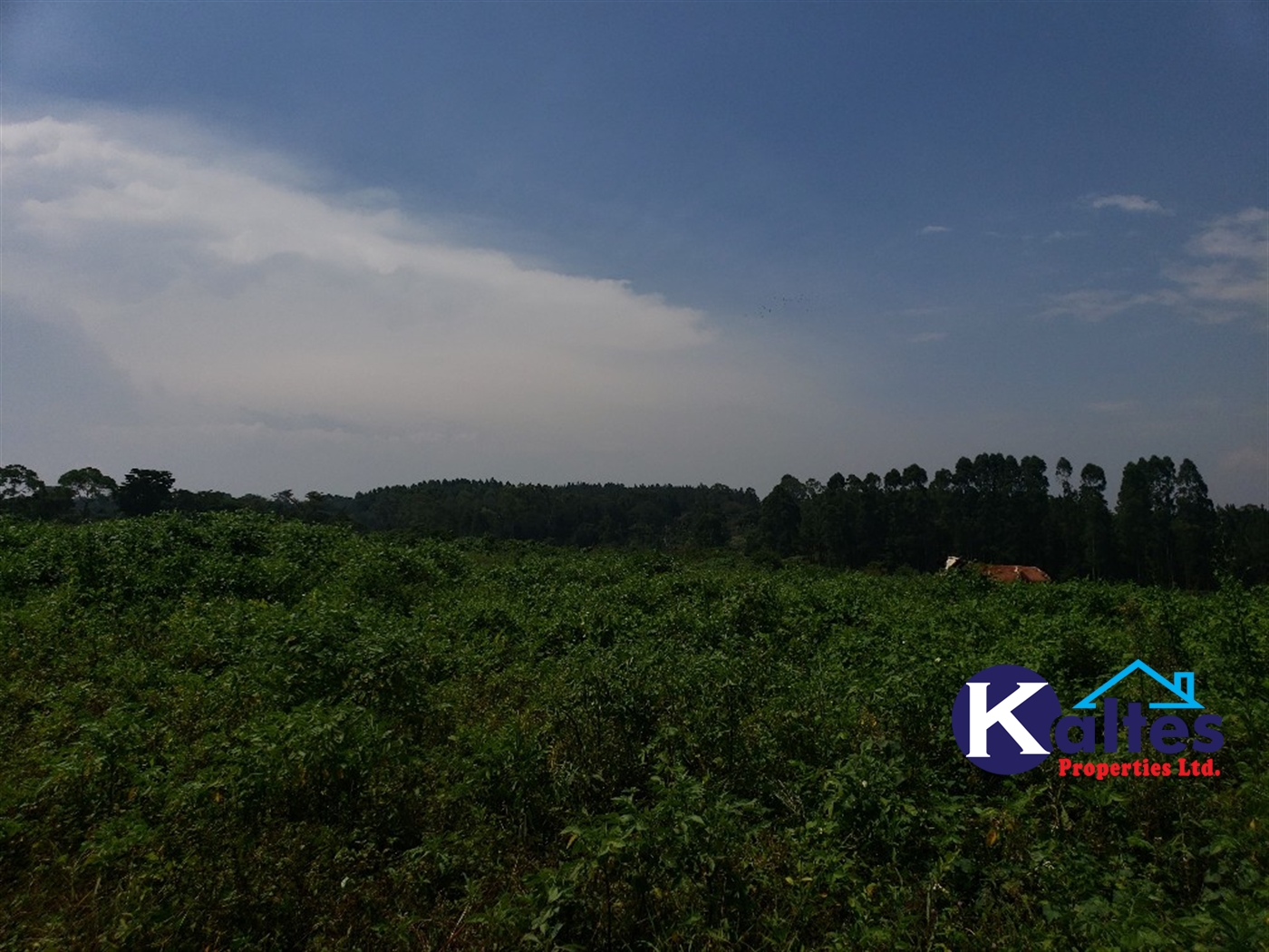 Agricultural Land for sale in Naja Buyikwe