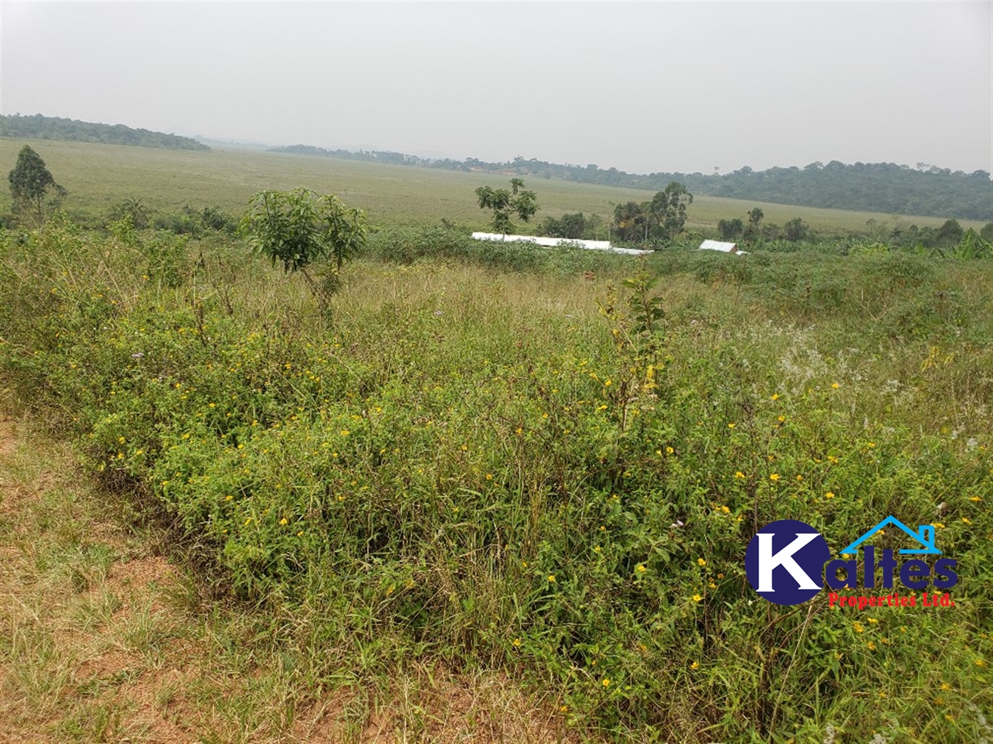 Residential Land for sale in Kateete Mukono