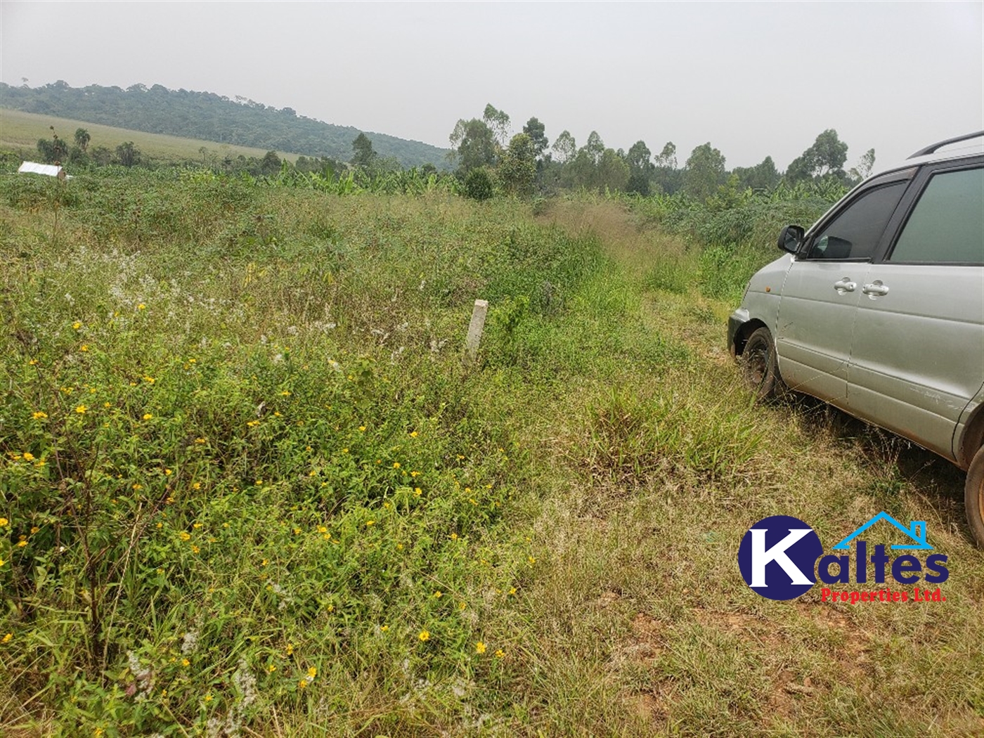 Residential Land for sale in Kateete Mukono