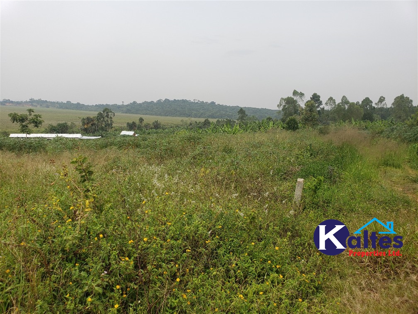 Residential Land for sale in Kateete Mukono