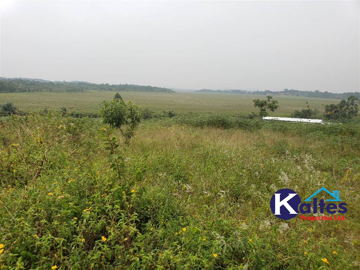 Residential Land for sale in Kateete Mukono