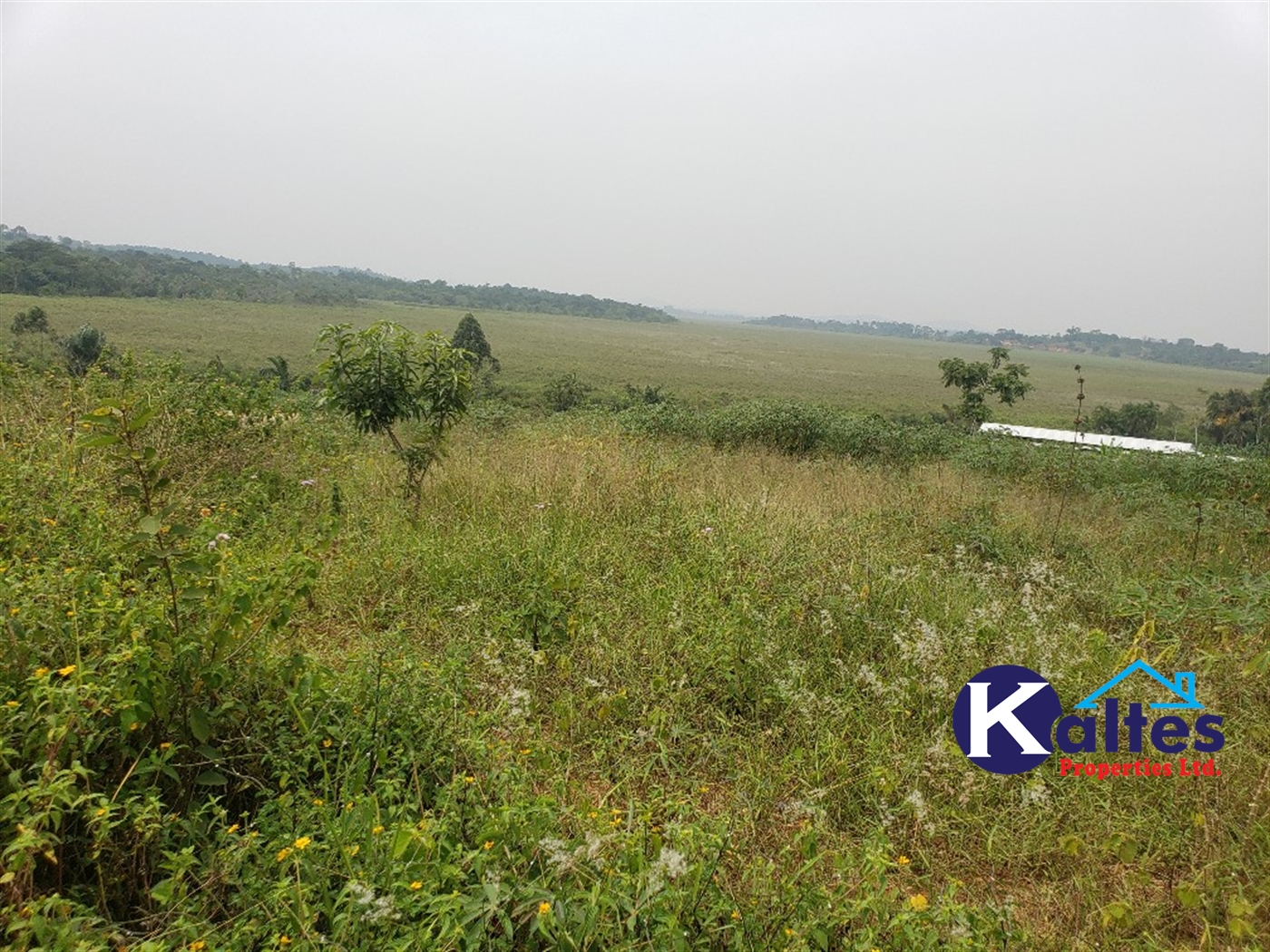 Residential Land for sale in Kateete Mukono