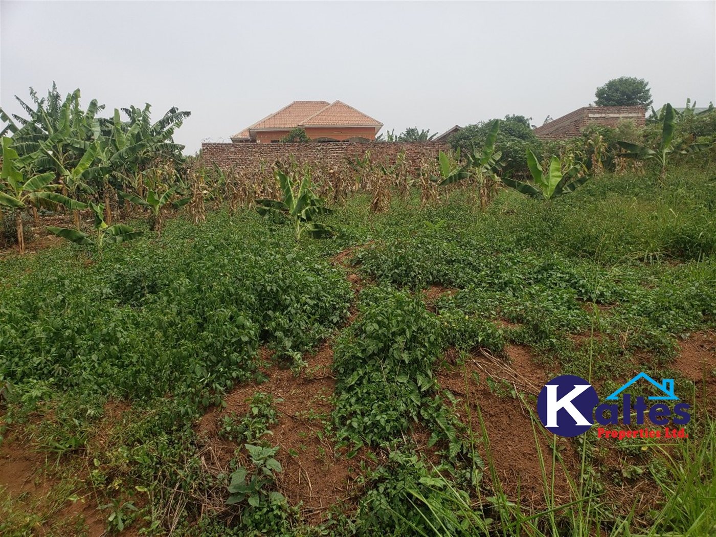 Residential Land for sale in Kateete Mukono