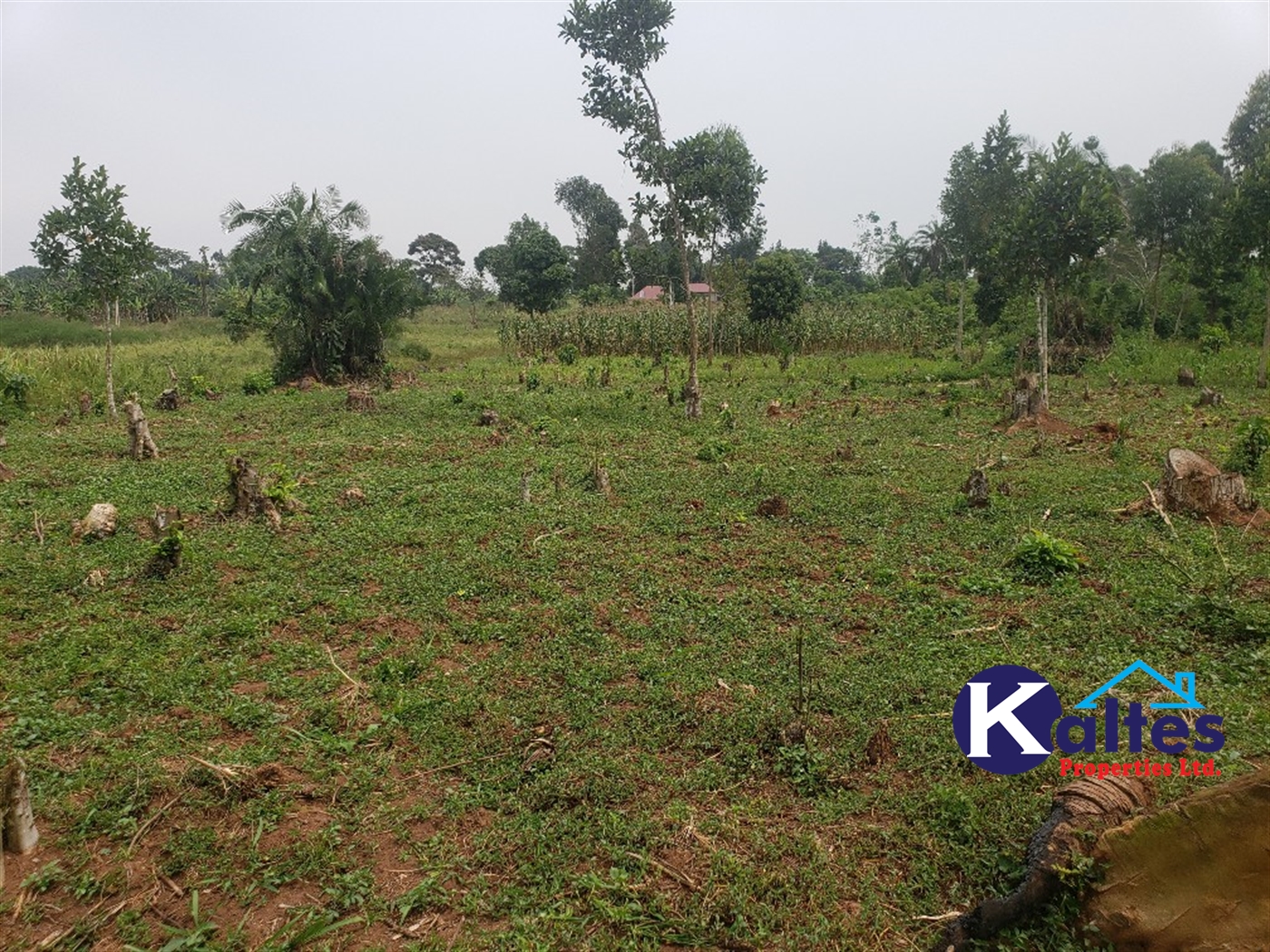 Residential Land for sale in Katega Mukono