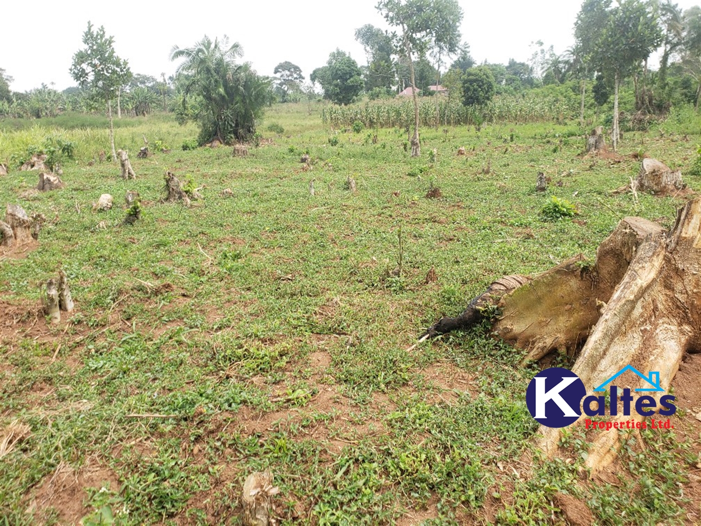 Residential Land for sale in Katega Mukono