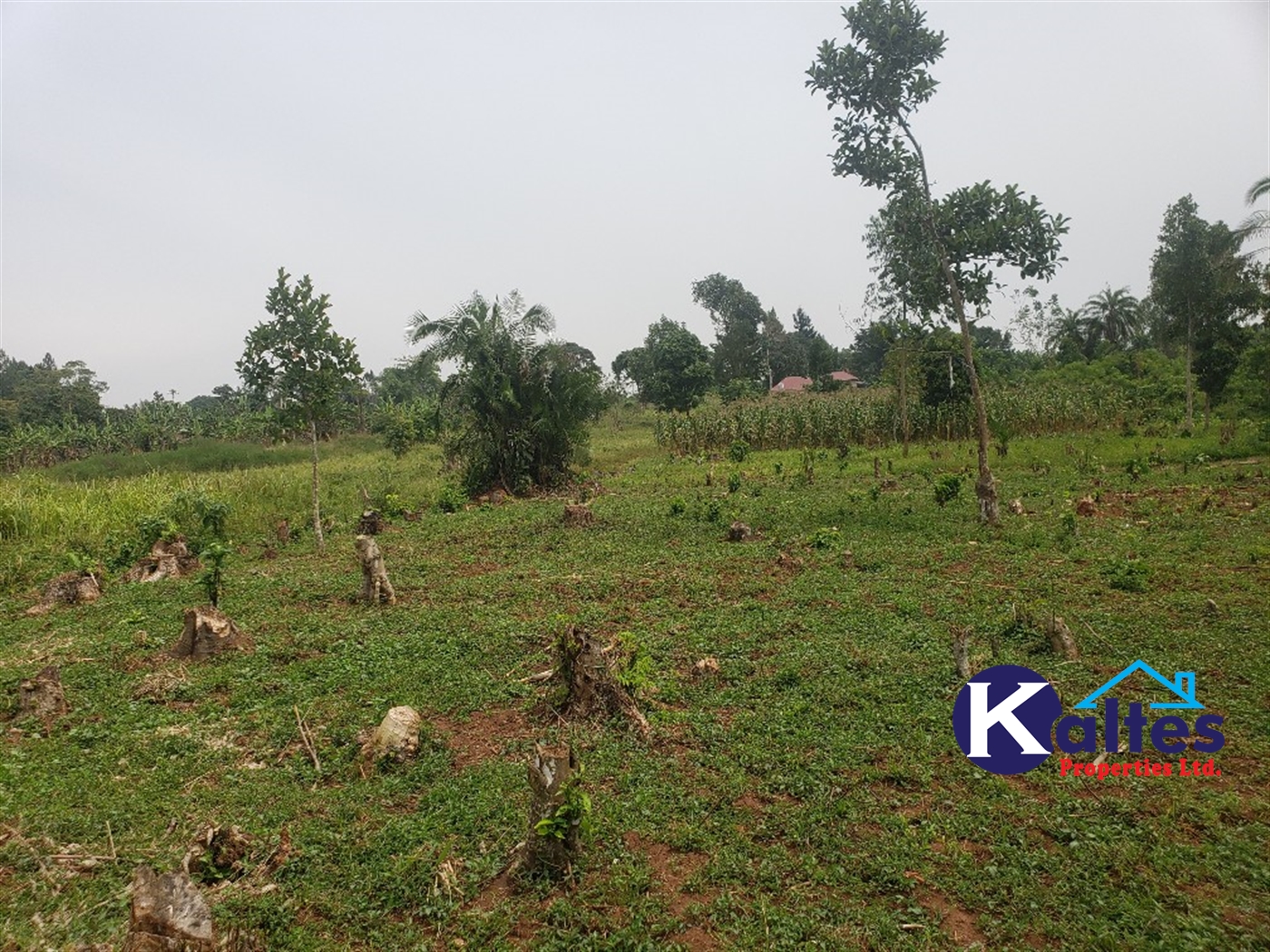 Residential Land for sale in Katega Mukono