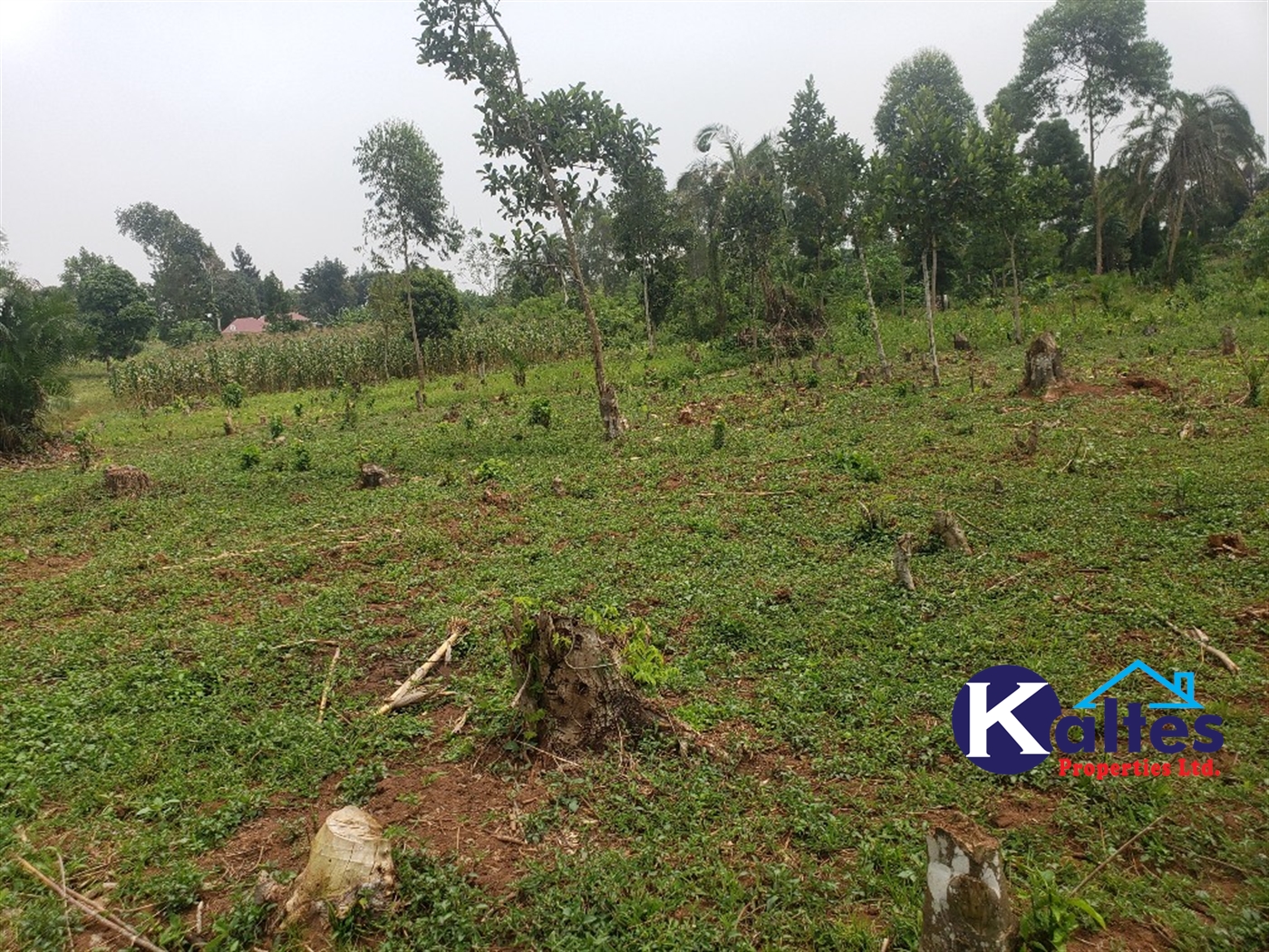 Residential Land for sale in Katega Mukono