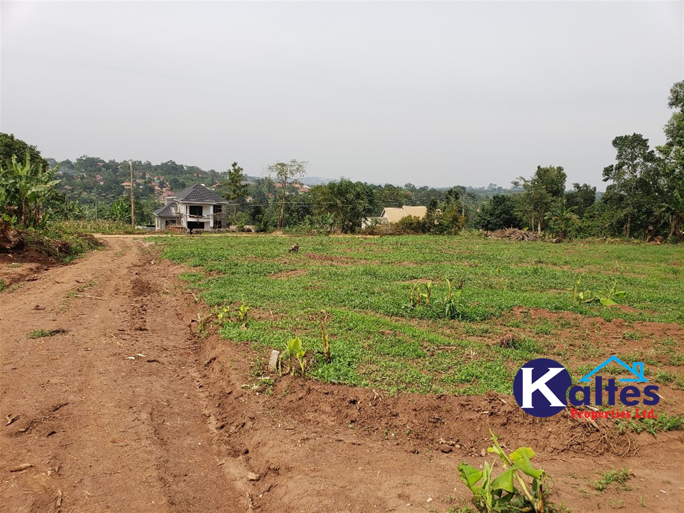 Residential Land for sale in Katega Mukono