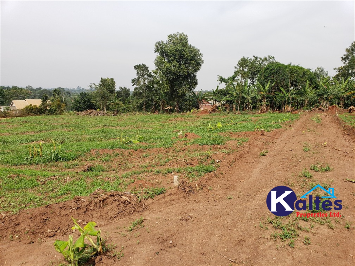 Residential Land for sale in Katega Mukono