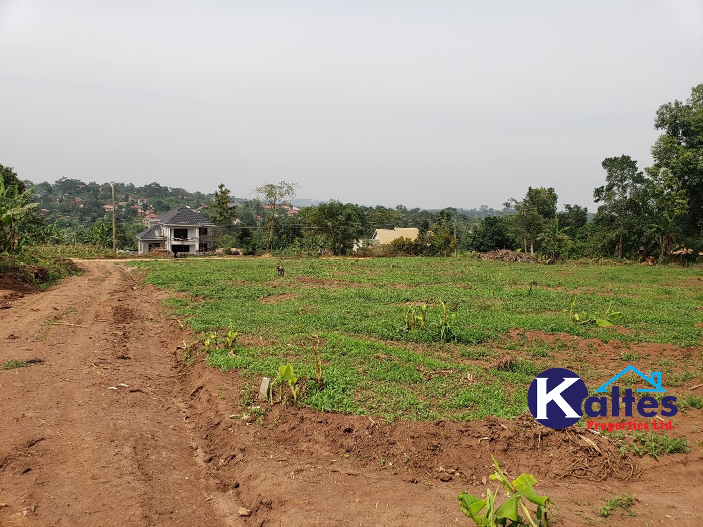 Residential Land for sale in Katega Mukono