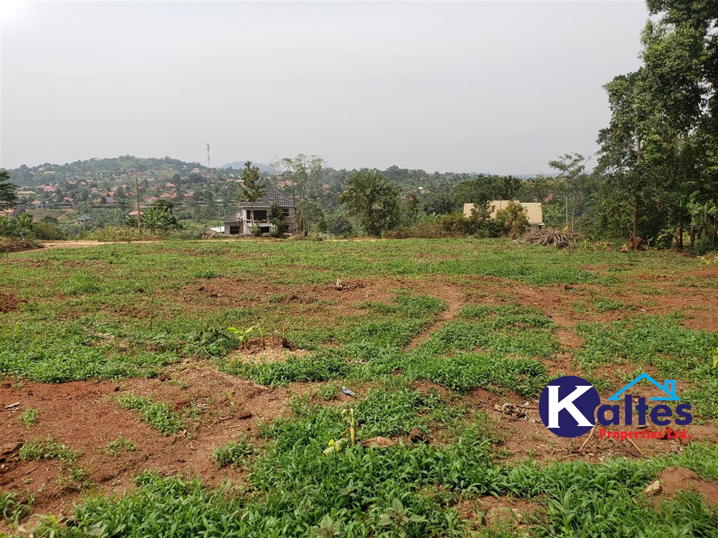 Residential Land for sale in Katega Mukono