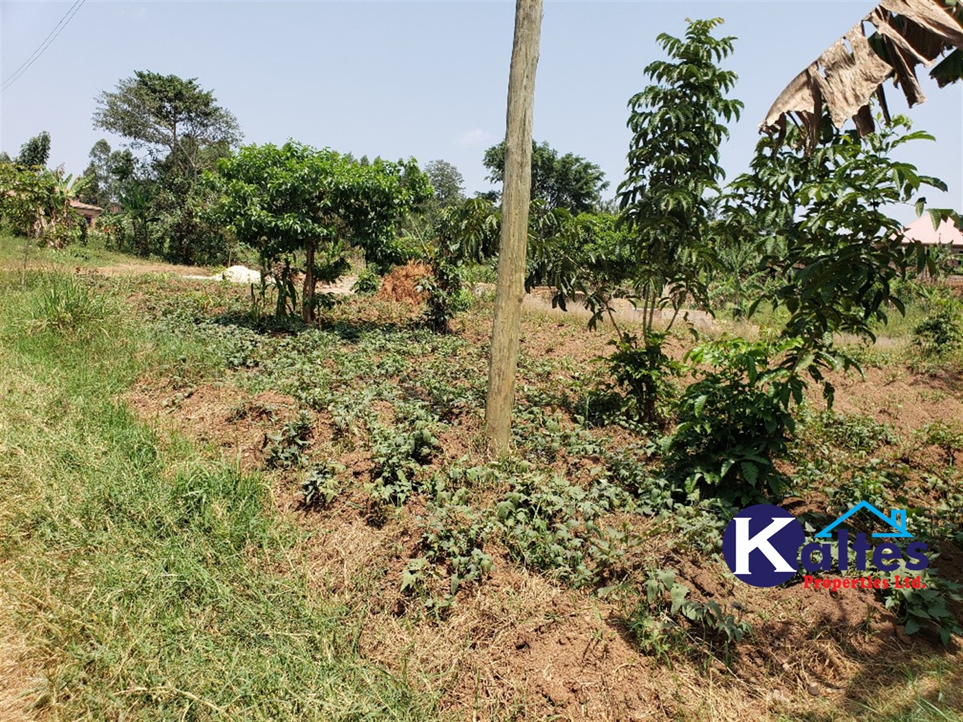 Residential Land for sale in Katega Mukono