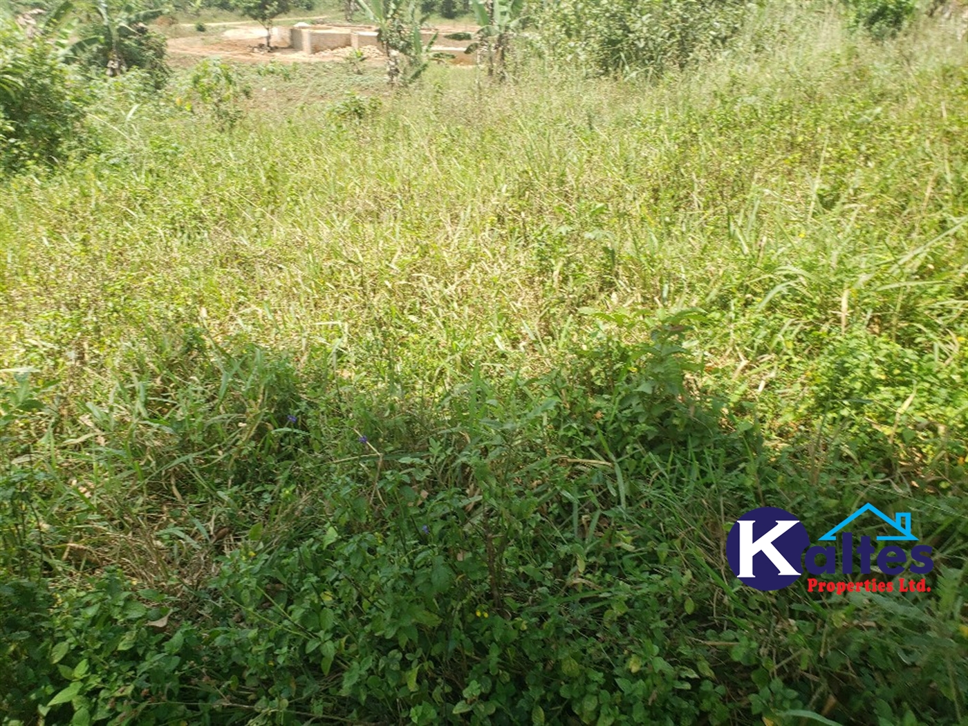 Residential Land for sale in Katega Mukono