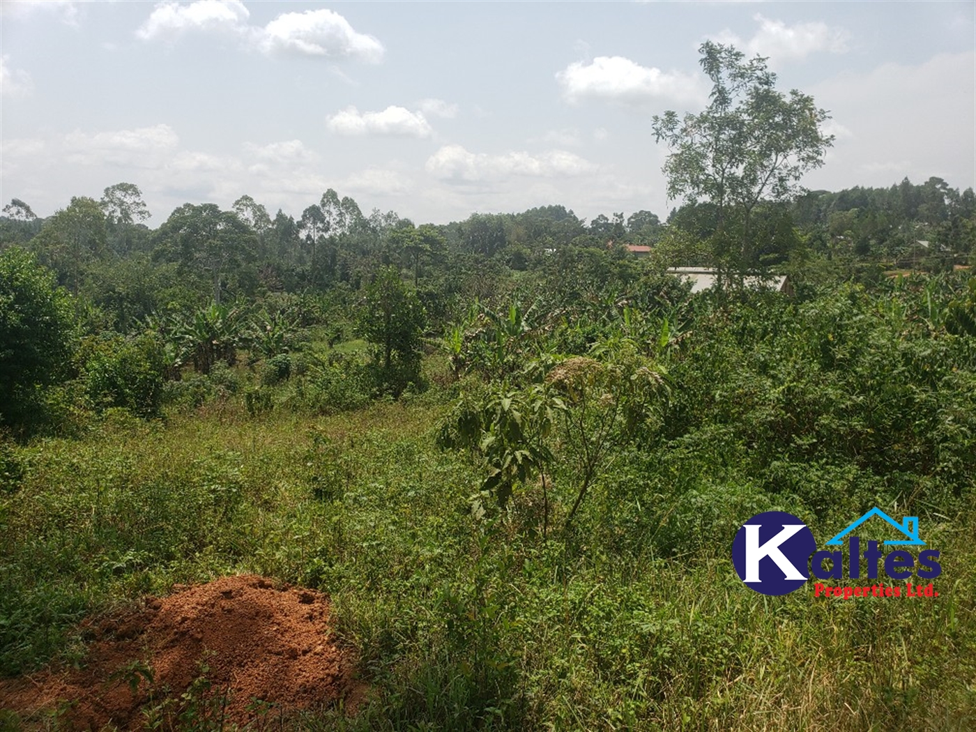 Residential Land for sale in Katega Mukono