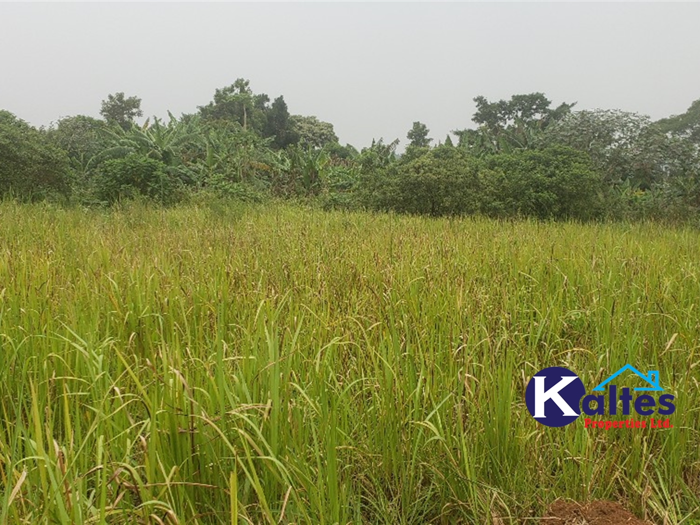 Residential Land for sale in Katega Mukono