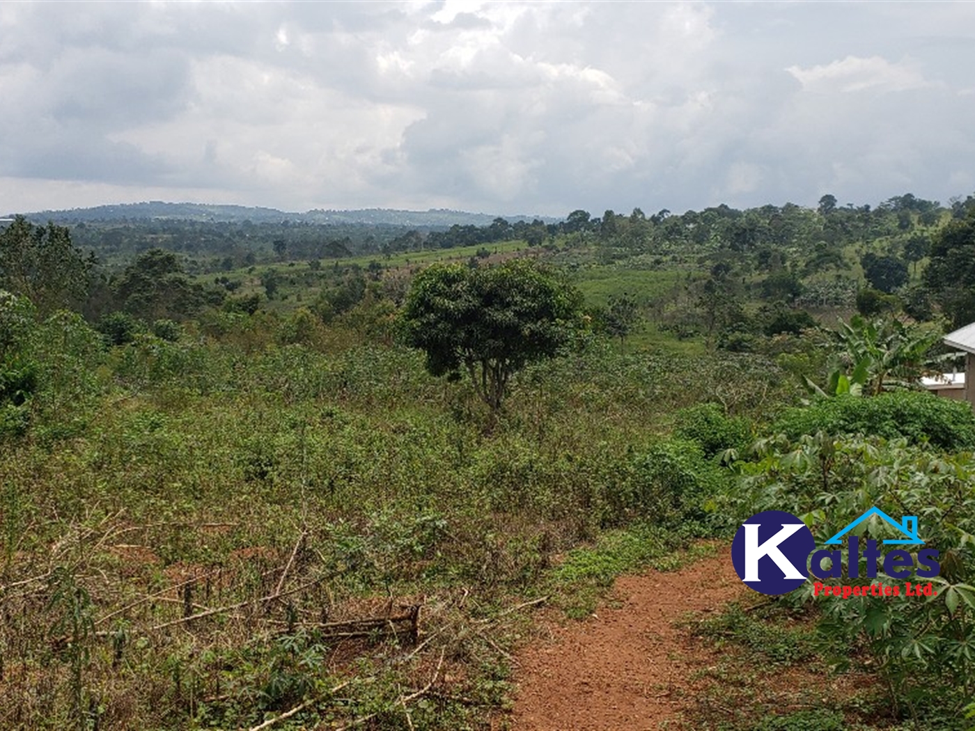 Residential Land for sale in Katega Mukono
