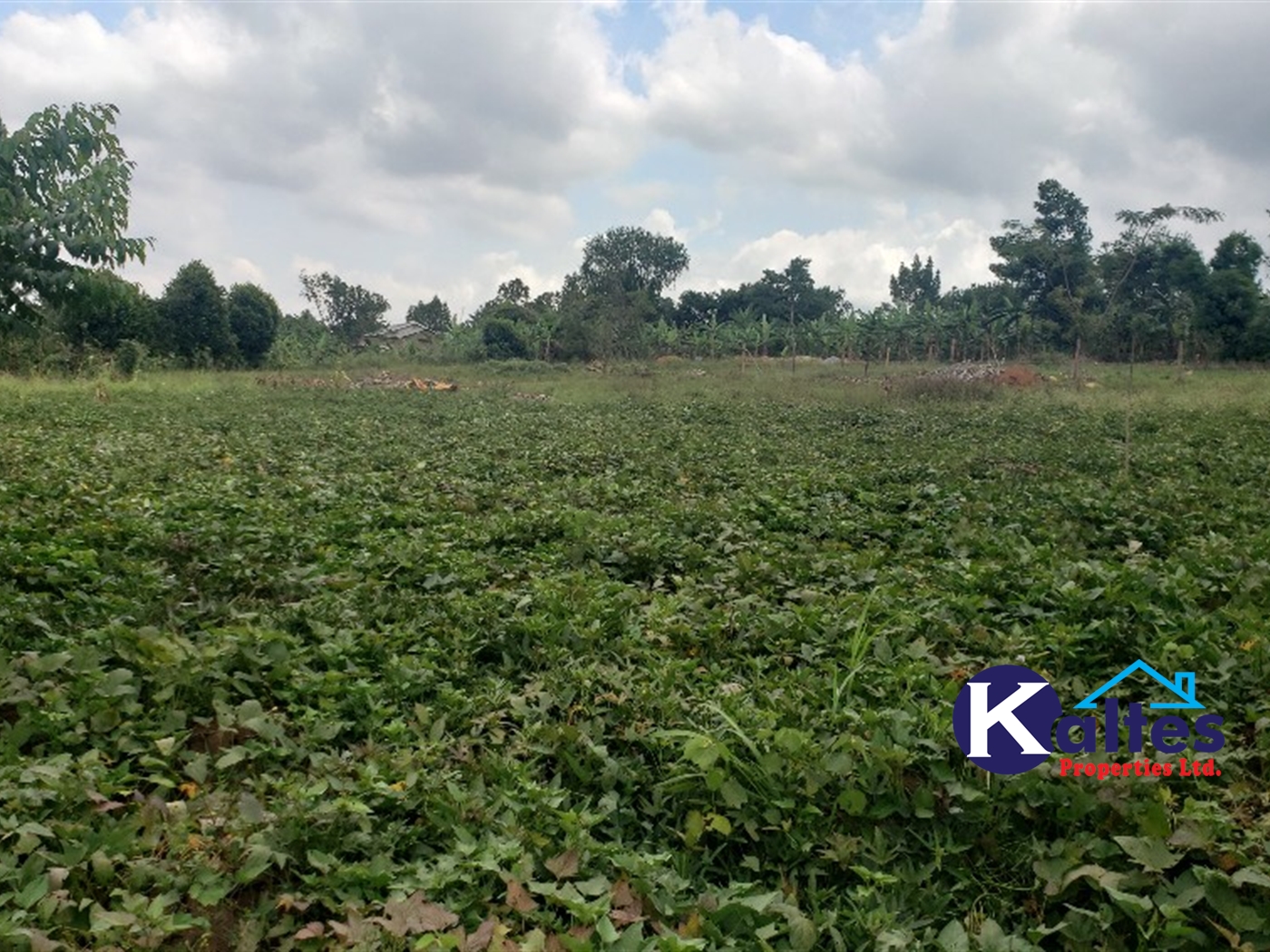 Residential Land for sale in Kikandwa Mukono