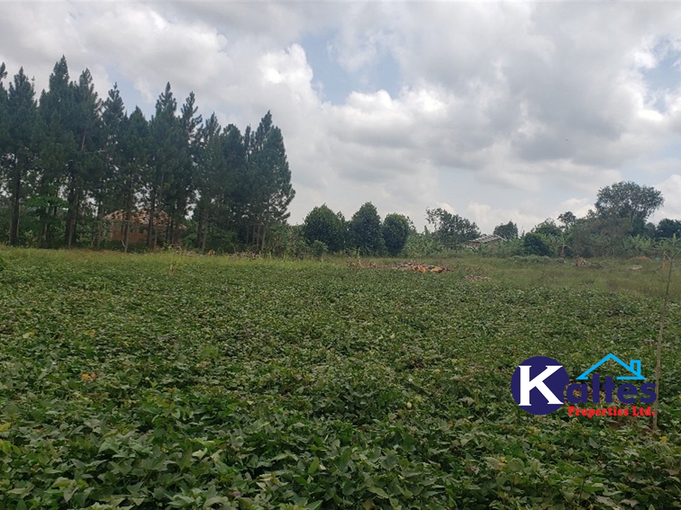 Residential Land for sale in Kikandwa Mukono